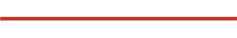 [American Action Network Logo]